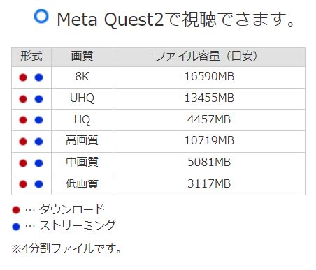 MetaQuest2においてのデータ容量一覧